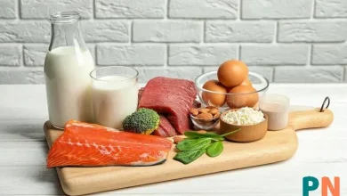 بهترین غذاهای پروتئینی